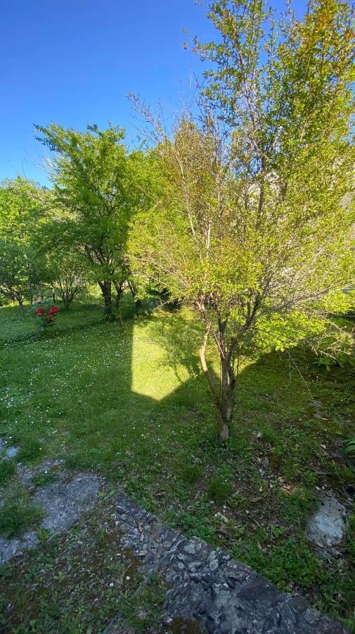 Villa Molinazzo Cicagna Zewnętrze zdjęcie